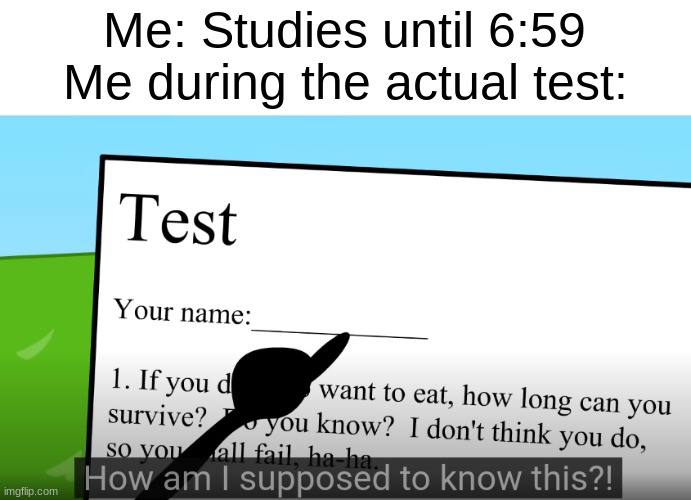 THIS IS SO STUPID!!! | Me: Studies until 6:59; Me during the actual test: | image tagged in snowball,test,stupid | made w/ Imgflip meme maker