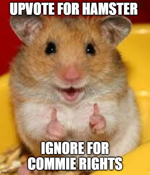 Thumbs up hamster  | UPVOTE FOR HAMSTER; IGNORE FOR COMMIE RIGHTS | image tagged in thumbs up hamster | made w/ Imgflip meme maker