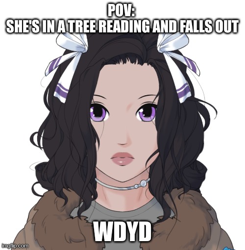 Basic rules | POV: 
SHE'S IN A TREE READING AND FALLS OUT; WDYD | image tagged in middo v2 | made w/ Imgflip meme maker