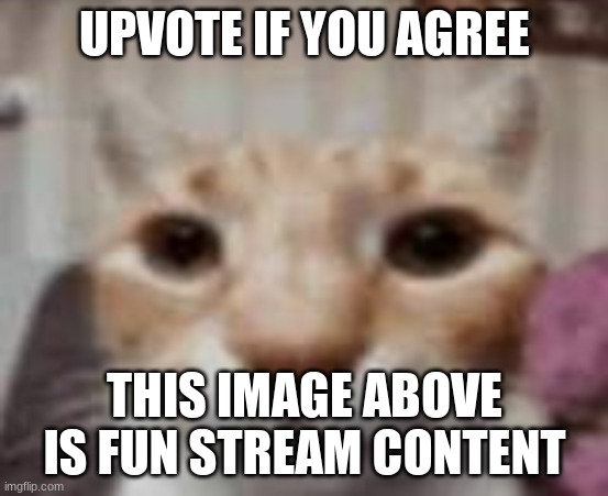 :| | UPVOTE IF YOU AGREE THIS IMAGE ABOVE IS FUN STREAM CONTENT | made w/ Imgflip meme maker
