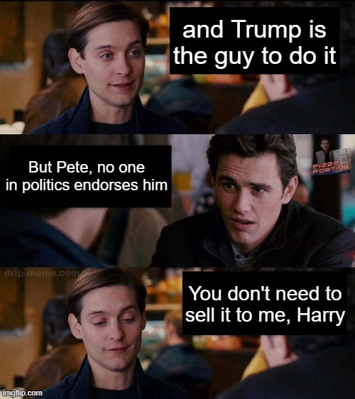 Harry, You Don't Need to Sell It To Me | and Trump is the guy to do it But Pete, no one in politics endorses him You don't need to sell it to me, Harry | image tagged in harry you don't need to sell it to me | made w/ Imgflip meme maker