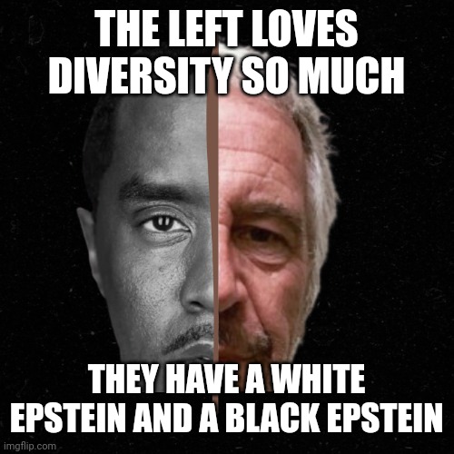 THE LEFT LOVES DIVERSITY SO MUCH; THEY HAVE A WHITE EPSTEIN AND A BLACK EPSTEIN | made w/ Imgflip meme maker