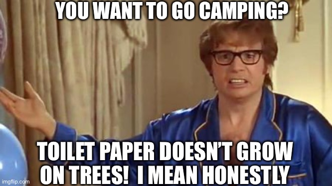 CAMPING ??? | YOU WANT TO GO CAMPING? TOILET PAPER DOESN’T GROW ON TREES!  I MEAN HONESTLY | image tagged in memes,austin powers honestly | made w/ Imgflip meme maker