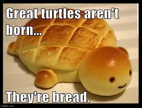 Pass the Butter, Please! | image tagged in memes,vince vance,bread,turtles,baked,bred | made w/ Imgflip meme maker