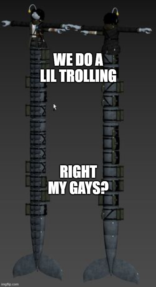 Longboi Sebastian | WE DO A LIL TROLLING; RIGHT MY GAYS? | image tagged in longboi sebastian | made w/ Imgflip meme maker