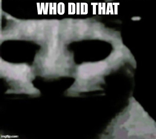 *anger* | WHO DID THAT | image tagged in anger | made w/ Imgflip meme maker