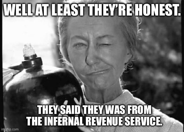 Granny Clampett | WELL AT LEAST THEY’RE HONEST. THEY SAID THEY WAS FROM THE INFERNAL REVENUE SERVICE. | image tagged in granny clampett | made w/ Imgflip meme maker