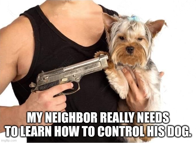 lmao | MY NEIGHBOR REALLY NEEDS TO LEARN HOW TO CONTROL HIS DOG. | image tagged in dog hostage | made w/ Imgflip meme maker