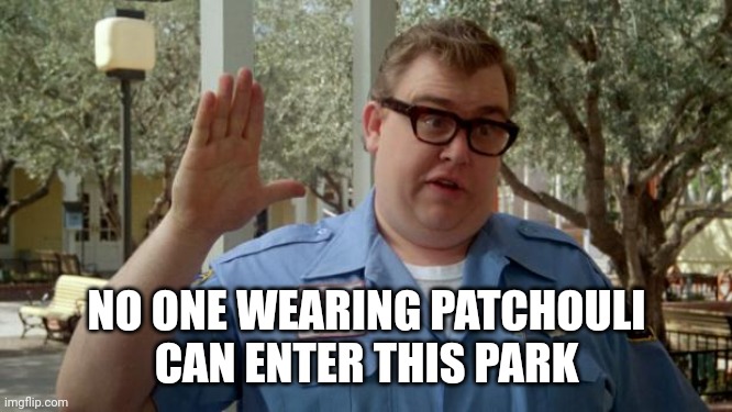 Walley World Security Guard | NO ONE WEARING PATCHOULI
CAN ENTER THIS PARK | image tagged in walley world security guard | made w/ Imgflip meme maker