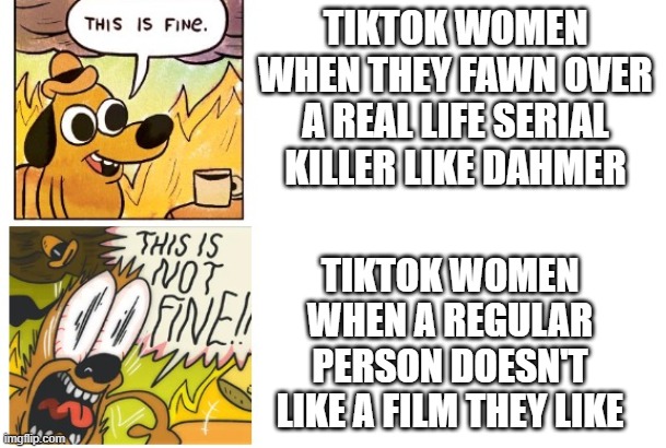 This is Fine, This is Not Fine | TIKTOK WOMEN WHEN THEY FAWN OVER A REAL LIFE SERIAL KILLER LIKE DAHMER; TIKTOK WOMEN WHEN A REGULAR PERSON DOESN'T LIKE A FILM THEY LIKE | image tagged in this is fine this is not fine | made w/ Imgflip meme maker