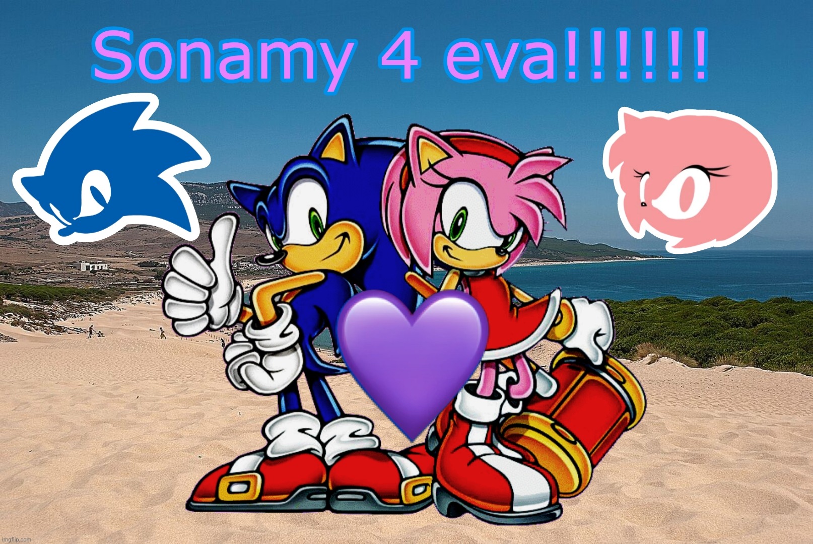 Sonic and Amy (Sonamy) at a beach in Tarifa, Spain. (this is soooo 2008) | image tagged in sonic the hedgehog,amy rose,wholesome,sonamy | made w/ Imgflip meme maker