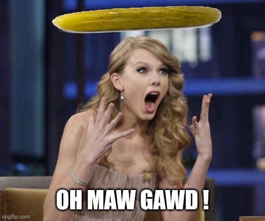 Taylor Swift | OH MAW GAWD ! | image tagged in taylor swift | made w/ Imgflip meme maker