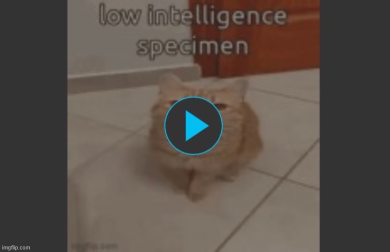 Low intelligence specimen | image tagged in low intelligence specimen | made w/ Imgflip meme maker