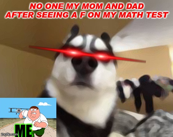 du heck | NO ONE MY MOM AND DAD AFTER SEEING A F ON MY MATH TEST; ME | image tagged in certified bruh moment | made w/ Imgflip meme maker