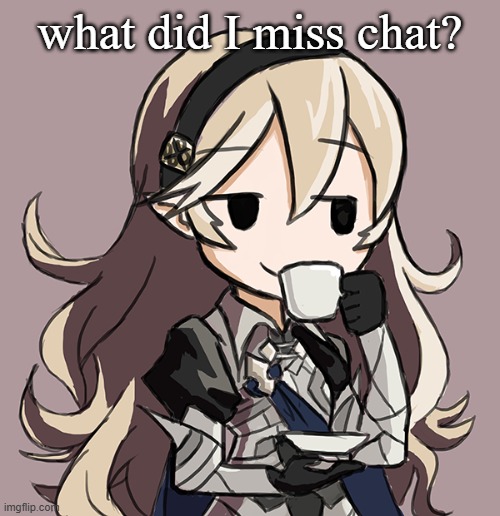 Corrin Being Smug While Drinking Tea | what did I miss chat? | image tagged in corrin being smug while drinking tea | made w/ Imgflip meme maker