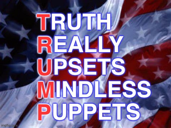 Truth | image tagged in donald trump,democrats are mindless sheep | made w/ Imgflip meme maker