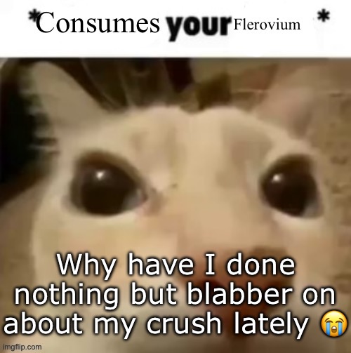 Yakko consumes your flerovium | Why have I done nothing but blabber on about my crush lately 😭 | image tagged in yakko consumes your flerovium | made w/ Imgflip meme maker