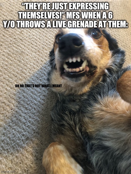 Poor choice of your method for existing | “THEY’RE JUST EXPRESSING THEMSELVES!” MFS WHEN A 6 Y/O THROWS A LIVE GRENADE AT THEM:; OH NO THAT’S NOT WHAT I MEANT | image tagged in memes | made w/ Imgflip meme maker