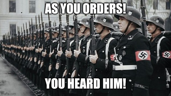 nazi soldiers | AS YOU ORDERS! YOU HEARD HIM! | image tagged in nazi soldiers | made w/ Imgflip meme maker