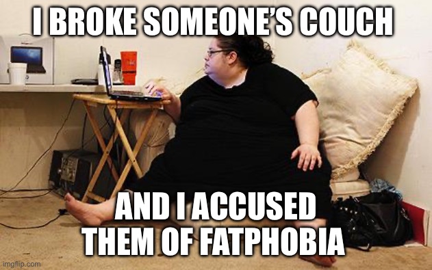 They’re fatphobic | I BROKE SOMEONE’S COUCH; AND I ACCUSED THEM OF FATPHOBIA | image tagged in obese woman at computer | made w/ Imgflip meme maker