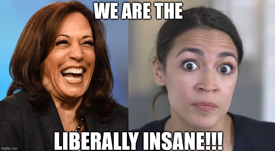 The LIBERALLY INSANE!!! | WE ARE THE; LIBERALLY INSANE!!! | image tagged in crazy alexandria ocasio-cortez,kamala harris,liberal,progressive,memes,democrat | made w/ Imgflip meme maker