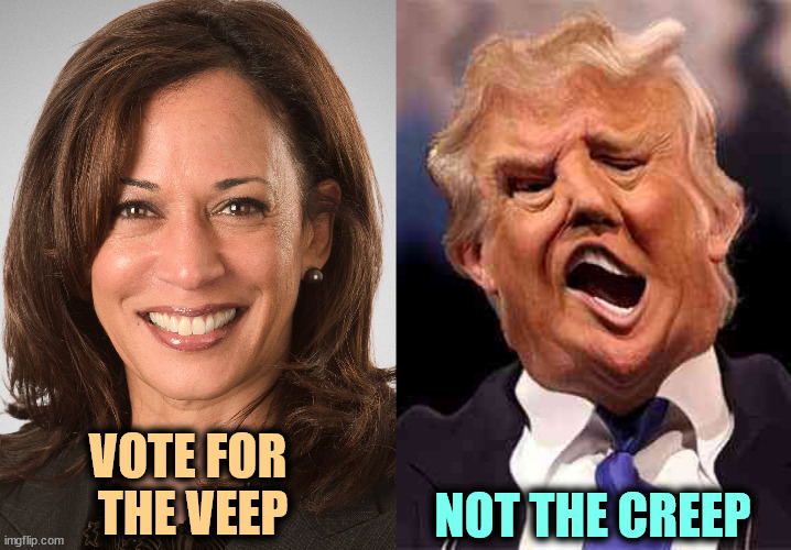 Vote for the Veep, not the creep. | VOTE FOR 
THE VEEP; NOT THE CREEP | image tagged in kamala harris sane donald trump crazy on acid,kamala harris,sane,trump,crazy | made w/ Imgflip meme maker