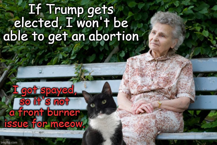 According to the media, this is the only issue on women's mind this election.... | If Trump gets elected, I won't be able to get an abortion; I got spayed, so it's not a front burner issue for meeow. | image tagged in old cat lady | made w/ Imgflip meme maker