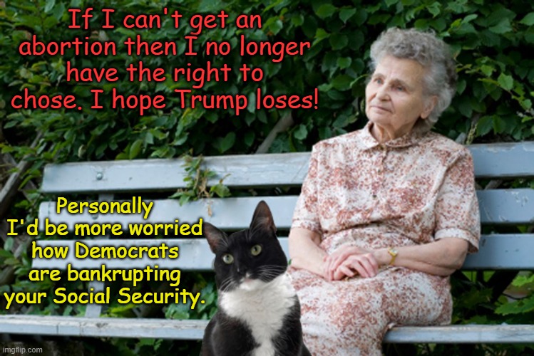 Issues Voters have it tough... | If I can't get an abortion then I no longer have the right to chose. I hope Trump loses! Personally I'd be more worried how Democrats are bankrupting your Social Security. | image tagged in old cat lady | made w/ Imgflip meme maker