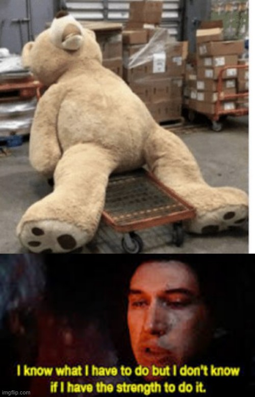 Stuffed Animal Fun | image tagged in i know what i have to do | made w/ Imgflip meme maker