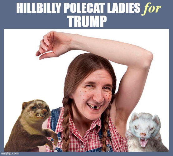 Thar's hillbilly polecat ladies in thar MAGA hills! | for; HILLBILLY POLECAT LADIES; TRUMP | image tagged in donald trump,hillbilly,cat ladies,redneck | made w/ Imgflip meme maker