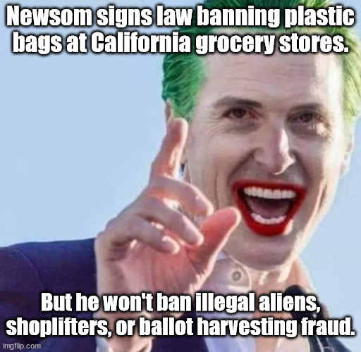 But don’t ban illegal aliens, shoplifters, or ballot harvesting fraud. | Newsom signs law banning plastic bags at California grocery stores. But he won't ban illegal aliens, shoplifters, or ballot harvesting fraud. | image tagged in newsom,newsom joker,joker newsom | made w/ Imgflip meme maker