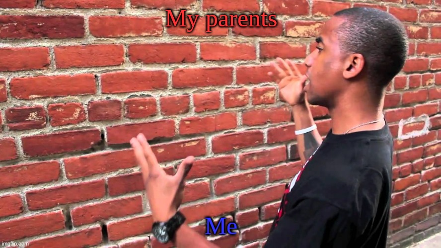 Trying to talk to my parents | My parents; Me | image tagged in brick wall | made w/ Imgflip meme maker