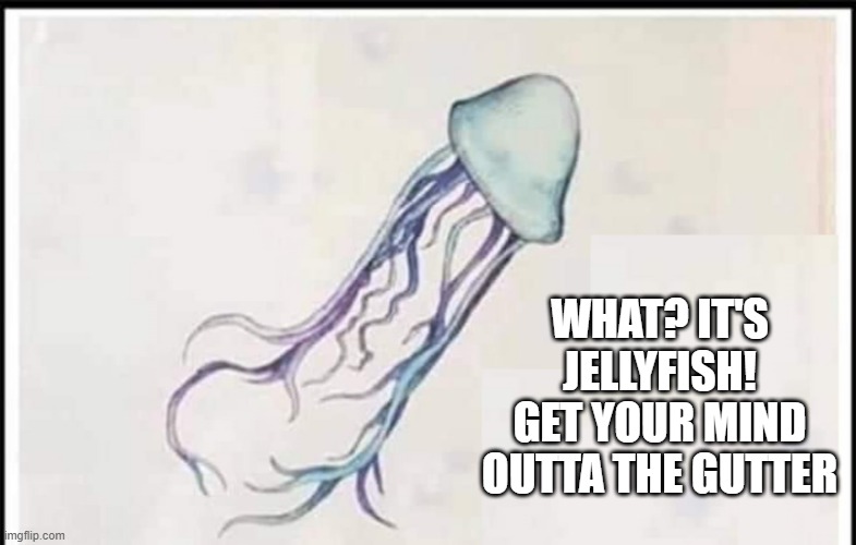 Jellyfish | WHAT? IT'S JELLYFISH! GET YOUR MIND OUTTA THE GUTTER | image tagged in sex jokes | made w/ Imgflip meme maker