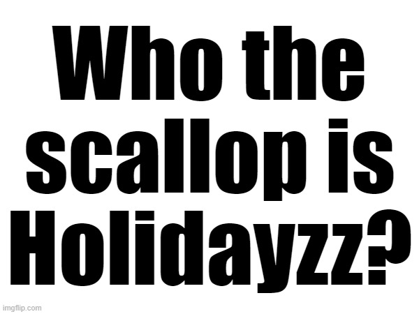 Who the scallop is Holidayzz? | made w/ Imgflip meme maker