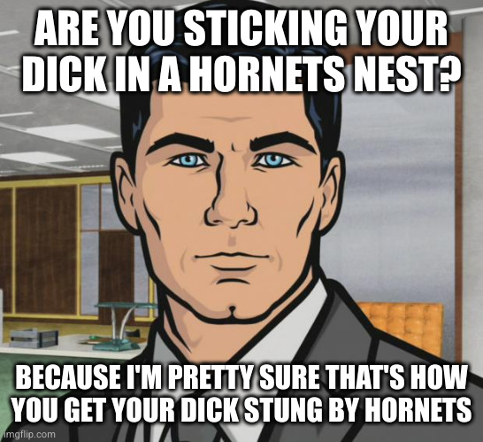 Archer | ARE YOU STICKING YOUR DICK IN A HORNETS NEST? BECAUSE I'M PRETTY SURE THAT'S HOW
YOU GET YOUR DICK STUNG BY HORNETS | image tagged in memes,archer | made w/ Imgflip meme maker