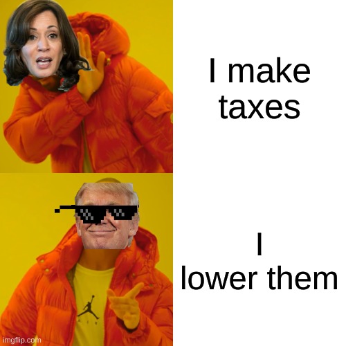 VOTE TODAY | I make taxes; I lower them | image tagged in memes,drake hotline bling | made w/ Imgflip meme maker