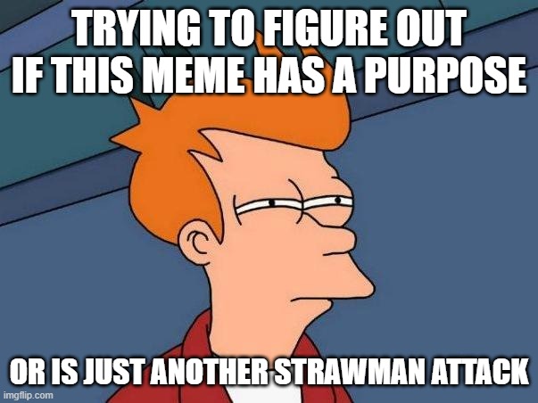 Does this meme have a purpose | TRYING TO FIGURE OUT IF THIS MEME HAS A PURPOSE; OR IS JUST ANOTHER STRAWMAN ATTACK | image tagged in skeptical fry | made w/ Imgflip meme maker