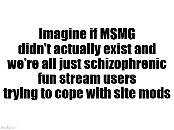 Imagine if MSMG didn't actually exist and we're all just schizophrenic fun stream users trying to cope with site mods | made w/ Imgflip meme maker