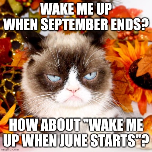 I hate Autumn! | WAKE ME UP WHEN SEPTEMBER ENDS? HOW ABOUT "WAKE ME UP WHEN JUNE STARTS"? | image tagged in grumpy cat autumn | made w/ Imgflip meme maker