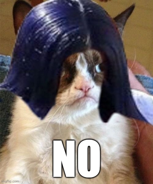 Grumpy doMima (flipped) | NO | image tagged in grumpy domima flipped | made w/ Imgflip meme maker