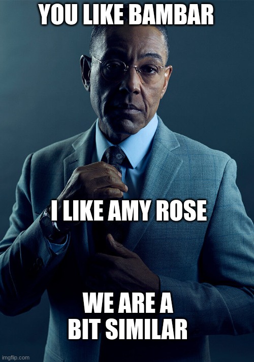 Gus Fring we are not the same | YOU LIKE BAMBAR I LIKE AMY ROSE WE ARE A BIT SIMILAR | image tagged in gus fring we are not the same | made w/ Imgflip meme maker