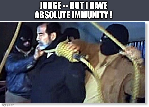 absolute immunity | JUDGE -- BUT I HAVE 
ABSOLUTE IMMUNITY ! | image tagged in saddam,hanging | made w/ Imgflip meme maker