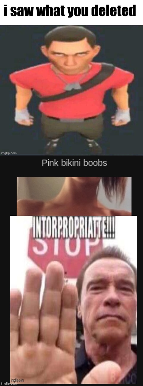 ok what the flipidy flop dude | image tagged in i saw what you deleted scout | made w/ Imgflip meme maker