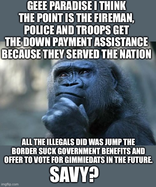 Deep Thoughts | GEEE PARADISE I THINK THE POINT IS THE FIREMAN, POLICE AND TROOPS GET THE DOWN PAYMENT ASSISTANCE BECAUSE THEY SERVED THE NATION ALL THE ILL | image tagged in deep thoughts | made w/ Imgflip meme maker