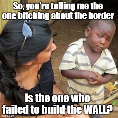 Where is the WALL? | So, you're telling me the one bitching about the border; is the one who failed to build the WALL? | image tagged in border wall,immigration,donald trump is an idiot,trump lied,traitor trump | made w/ Imgflip meme maker