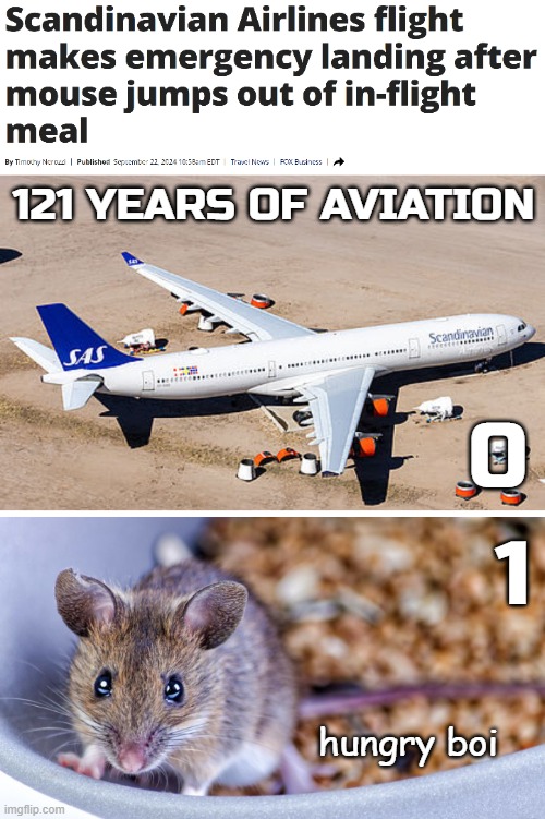 121 YEARS OF AVIATION; 0; 1; hungry boi | image tagged in funny,news | made w/ Imgflip meme maker