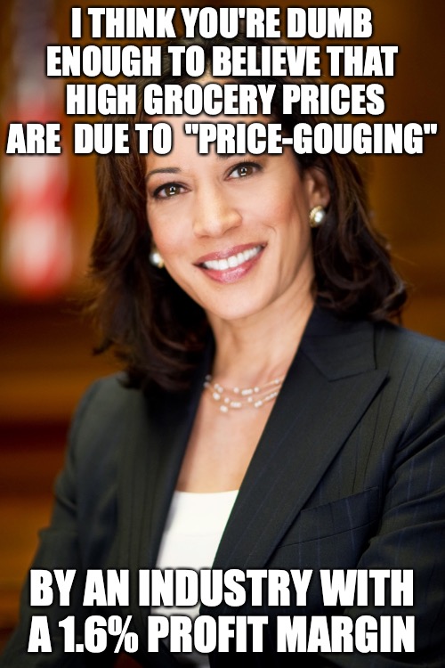 Kamala Harris | I THINK YOU'RE DUMB ENOUGH TO BELIEVE THAT  HIGH GROCERY PRICES ARE  DUE TO  "PRICE-GOUGING"; BY AN INDUSTRY WITH A 1.6% PROFIT MARGIN | image tagged in kamala harris | made w/ Imgflip meme maker