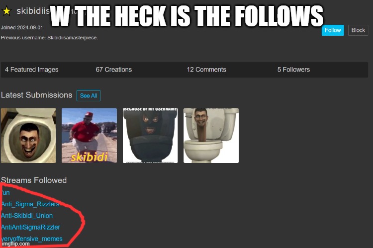 What the heck? | W THE HECK IS THE FOLLOWS | image tagged in memes | made w/ Imgflip meme maker