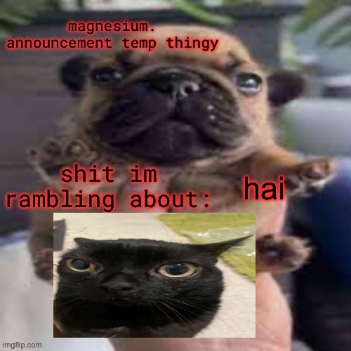 me fr | hai | image tagged in pug temp | made w/ Imgflip meme maker