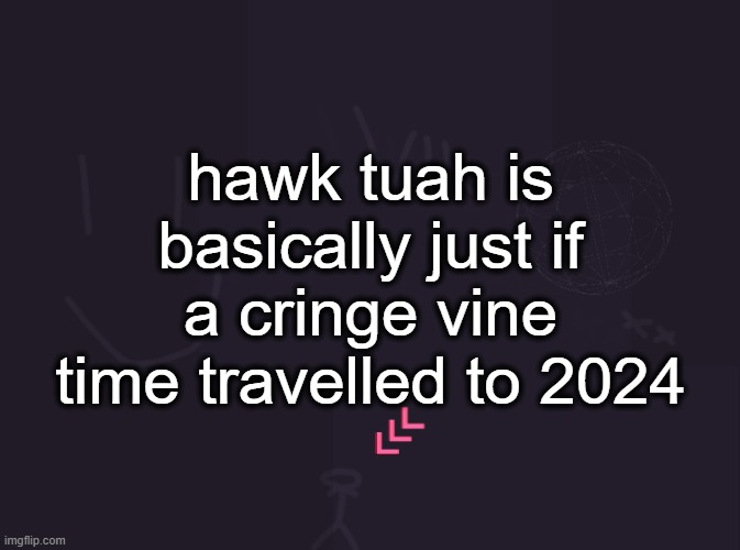 vik's image | hawk tuah is basically just if a cringe vine time travelled to 2024 | image tagged in vik's image | made w/ Imgflip meme maker
